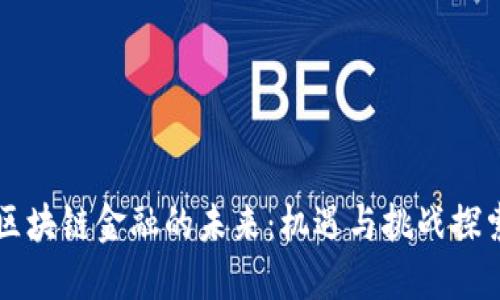 区块链金融的未来：机遇与挑战探索