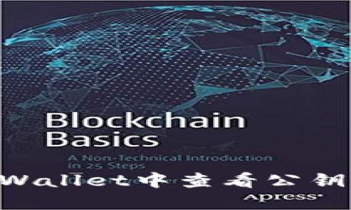 如何在TPWallet中查看公钥：详尽指南