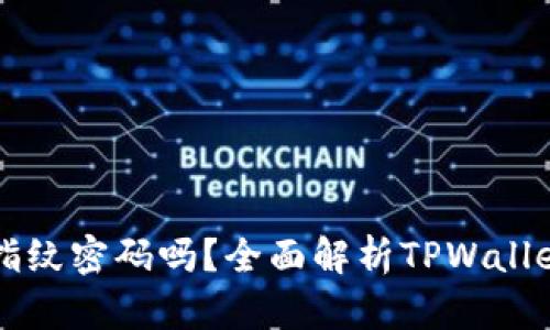 TPWallet可以使用指纹密码吗？全面解析TPWallet的安全性与便利性
