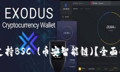 TPWallet是否支持BSC (币安智能链)？全面解析与使用指南