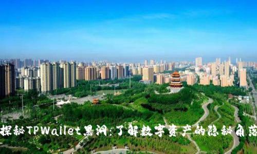 探秘TPWallet黑洞：了解数字资产的隐秘角落