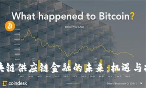 区块链供应链金融的未来：机遇与挑战