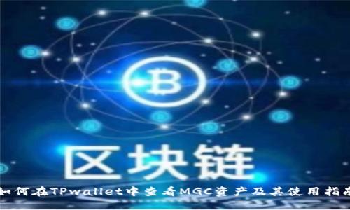 如何在TPwallet中查看MGC资产及其使用指南