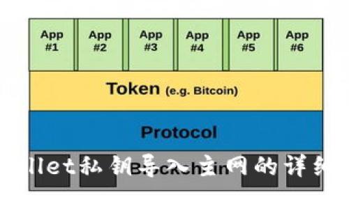 TPWallet私钥导入主网的详细指南