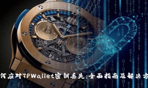如何应对TPWallet密钥丢失：全面指南及解决方案
