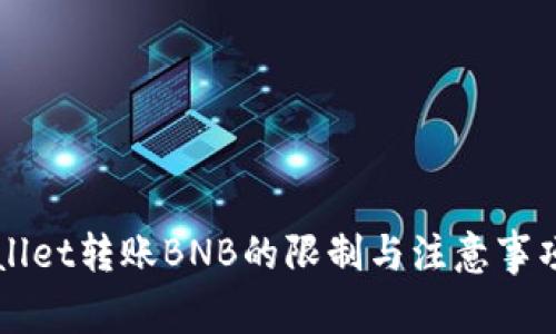 TPWallet转账BNB的限制与注意事项解析