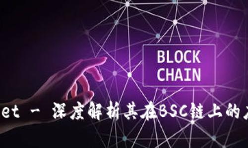 TokenPocket - 深度解析其在BSC链上的应用与影响