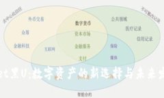 TPWallet黑U：数字资产的新