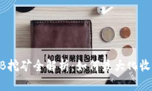 TPWallet SGB挖矿全解析：如何最大化收益与风险控制