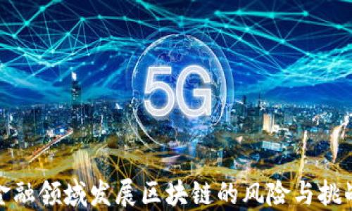 
金融领域发展区块链的风险与挑战