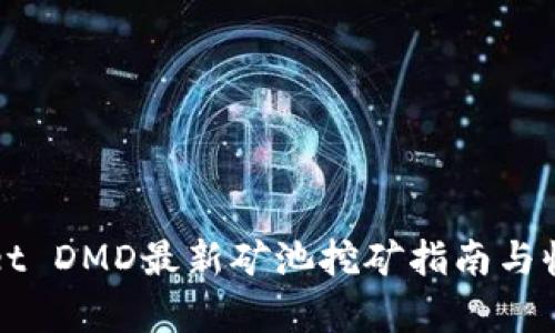 TPWallet DMD最新矿池挖矿指南与收益分析