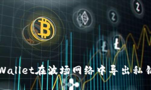 如何解决TPWallet在波场网络中导出私钥失败的问题