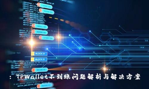 : TPWallet不到账问题解析与解决方案
