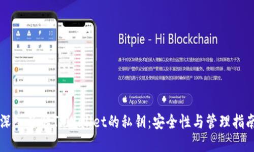 深入了解TPWallet的私钥：安全性与管理指南