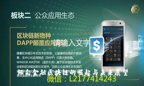 缅甸金融区块链的崛起与未来展望