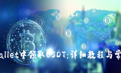 如何在TPWallet中领取USDT：详细教程与常见问题解答