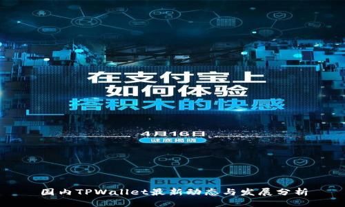 国内TPWallet最新动态与发展分析