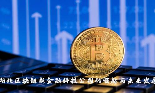 湖北区块链新金融科技公司的崛起与未来发展